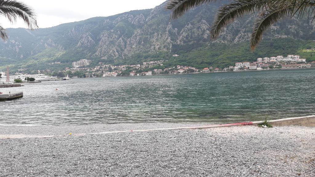 Apartment Todor Kotor Eksteriør bilde